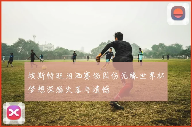 埃斯特旺泪洒赛场因伤无缘世界杯梦想深感失落与遗憾