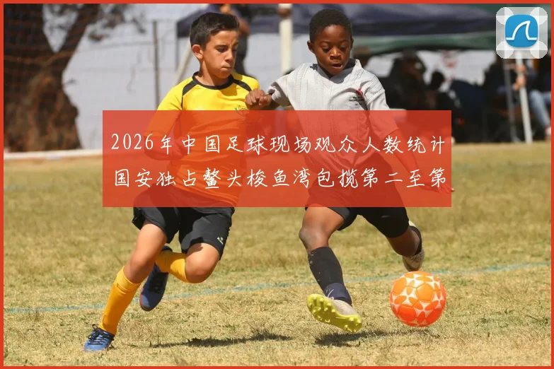 2026年中国足球现场观众人数统计国安独占鳌头梭鱼湾包揽第二至第七位
